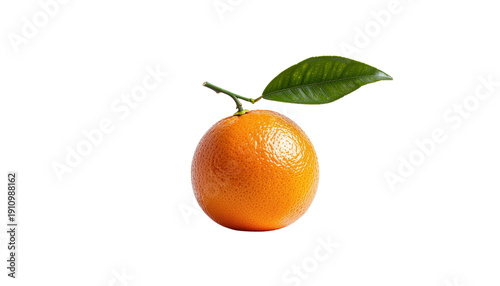 Orange citrus fruit with a small green leaf attached to the stem is visible in the center of the frame object on white and png