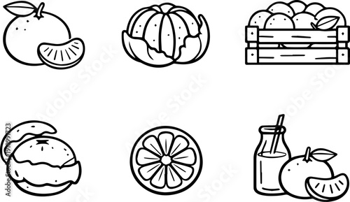 Orange fruit and citrus products