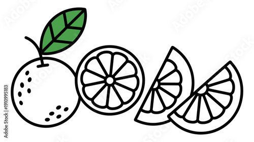 A vibrant line art illustration showcases a whole orange with a green leaf and several fresh slices.