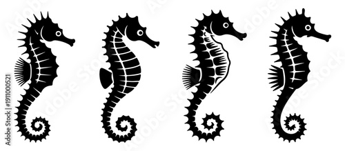 Seahorse Silhouette Vector Set Marine Ocean Wildlife Black Illustration Isolated on White Background