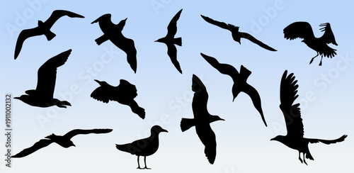 Set of seagull silhouette. Group Seagull Flying SIlhouette vector Illustration. Flying and standing seagulls birds silhouette black collection isolated on white background.
