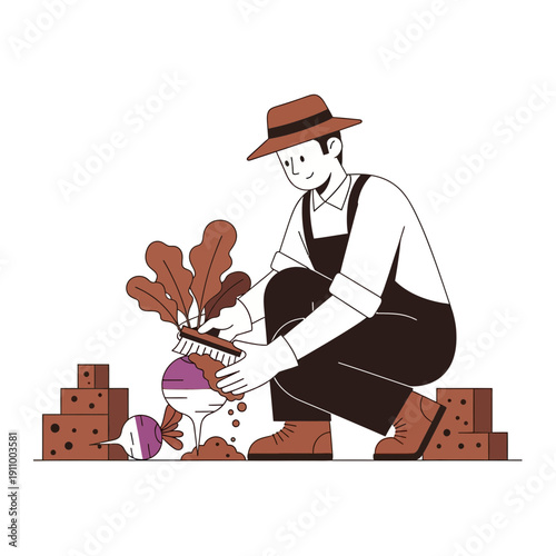 Gardener Caring For Freshly Harvested Root Vegetable Outdoors