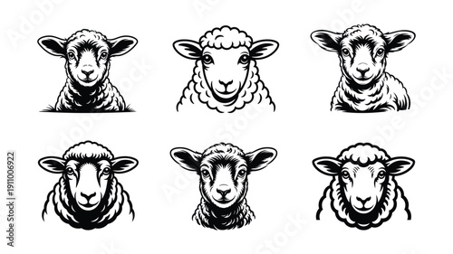 Six Black And White Sheep Head lamb animal face