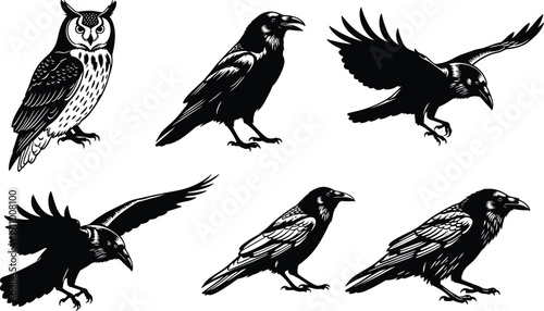 Hand drawn raven and owl silhouettes set, featuring black crows in flight, perching birds, wildlife, Gothic nature, and mysterious forest creatures