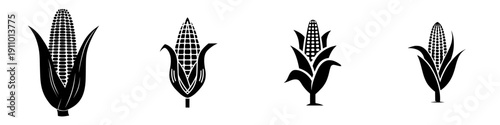 Ears of Corn: A Symbol of Abundance and Harvest