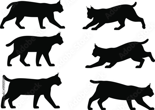 Lynx silhouettes illustration with walking and stalking poses, tufted ears, short tail, predator behavior diversity, black and white artwork concept