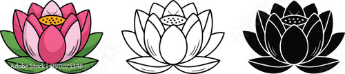 Lotus flower silhouette & Outline and illustration set isolated on transparent background