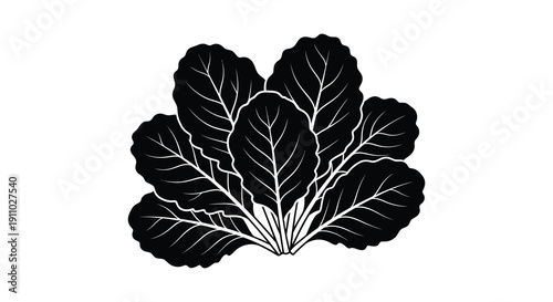 A striking black and white illustration depicts a cluster of leafy greens resembling bok choy or cabbage high quality professional