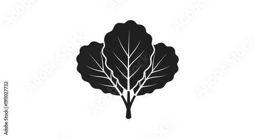 A stark black and white illustration depicts a single leaf showcasing detailed veining and a natural form high quality professional