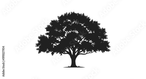 A striking silhouette of a full mature tree with dense foliage dominates a stark white background high quality