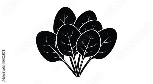 A stylized black and white illustration depicts a cluster of rounded leaves resembling spinach or similar greens high quality professional