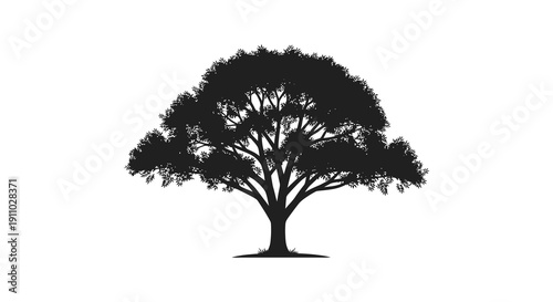 A stark silhouette of a fully grown tree with dense foliage dominates a bright white background high quality