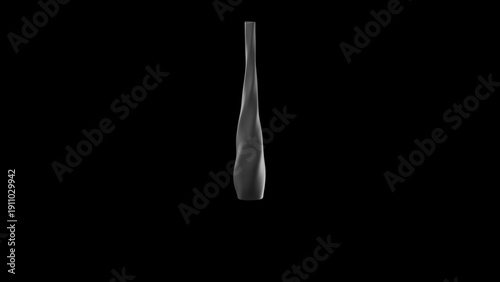 Abstract twisted black vase 3d rendering