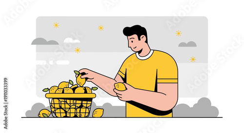Man Harvesting Fresh Lemons From A Basket Of Citrus Fruit