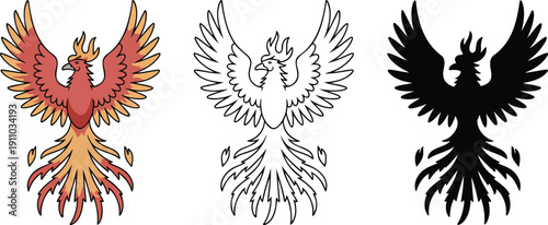 Phoenix bird silhouette & Outline and illustration set isolated on transparent background