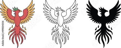 Phoenix bird silhouette & Outline and illustration set isolated on transparent background