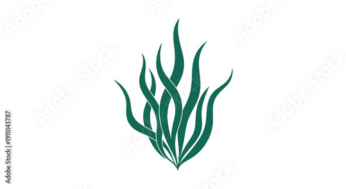 A stylized depiction of dark teal seaweed or aquatic plants arranged in a cluster on white high quality