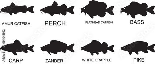 Collection of eight popular freshwater fish species silhouettes with their names on a white background