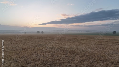 A foggy field with a cloudy sky in the background. The sky is a mix of blue and orange hues, creating a serene and peaceful atmosphere
