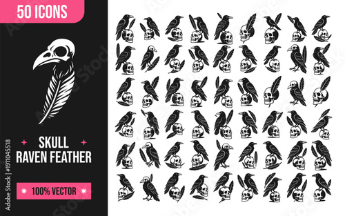Black raven skull feather icons for design projectsv