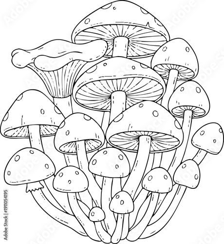 Hand Drawn Forest Mushroom Cluster Line Art Illustration
