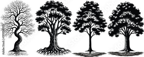 Set of detailed tree silhouettes with branches, roots, and foliage variations, natural woodland botanical vector illustration collection design elements