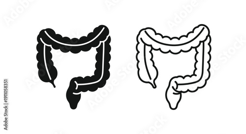 Human large intestine diagram black and white illustration medical graphic silhouette