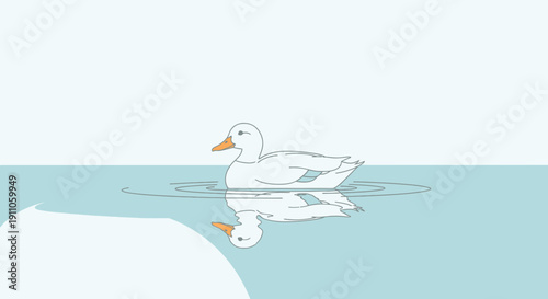 Serene White Duck Floating Gently On Calm Blue Water With Mirror Reflection