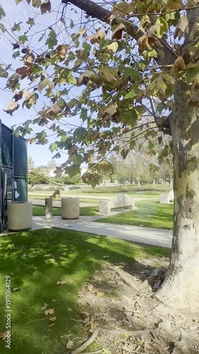 A tennis court park scene with a large tree benches green grass and a paved walkway under a clear sky with some leaves turning brown in the sunlight