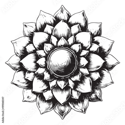 Detailed lotus flower mandala ornament vector engraving style isolated on white background for spa yoga branding packaging label and decorative poster design