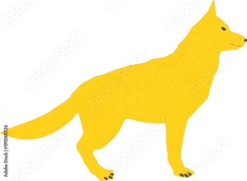 Dog