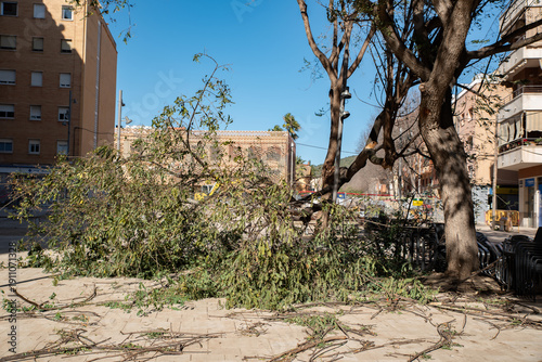 Barcelona, ​​Catalonia, Spain, February 12, 2026. Strong winds lash the city of Barcelona, ​​the storm leaves fallen trees, fences and vehicles, among other things.