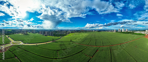 Aerial panoramic view of cornfields bordering the urban skyline of Ribeirão Preto, Brazil