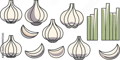 Allium Garden Sketch Emphasizes the botanical family shared by the garlic and leeks shown in the collection.
