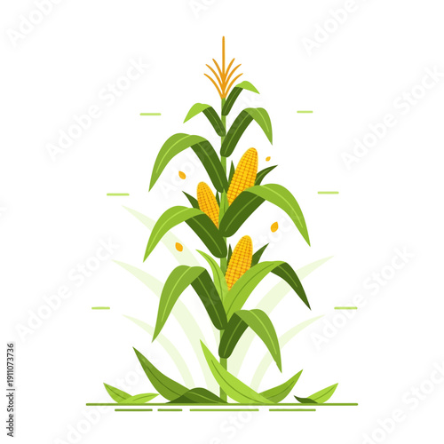 Vibrant Corn Stalk Illustration Symbolizing Growth and Harvest Season