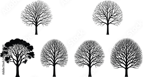 Collection of detailed tree silhouettes isolated on white background, botanical vector illustration set featuring leafless and leafy deciduous trees for design projects