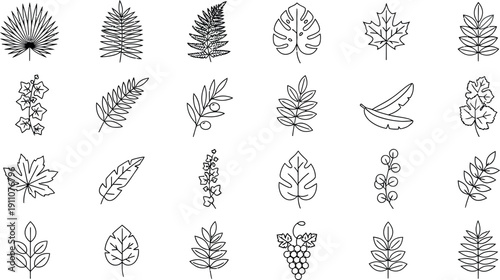 Collection of twenty-four distinct black outline botanical plant leaves and foliage icons representing various natural tropical and deciduous flora elements for design projects.