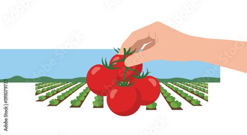 A hand holds fresh ripe red tomatoes with green leaves against an outdoor farm field with plant rows.