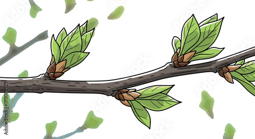 Illustration depicting tree branches with newly emerging green leaf buds unfurling from brown protective scales signaling the vibrant beginning of spring growth outdoors