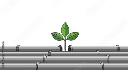 A small three-leaf green plant grows upwards from between multiple grey pipes arranged horizontally.
