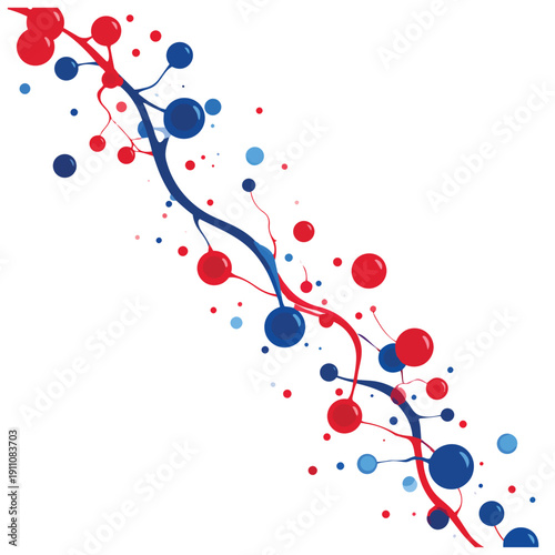 Capillary Blood Flow 12