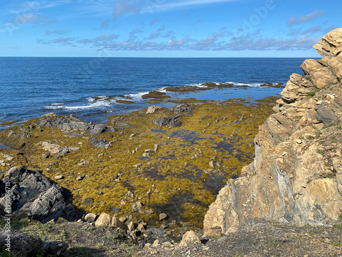 Tableau sur toile Rocky outcrop at Lobster Cove Head Lighthouse at Gros Morne National Park in Newfoundland, Canada