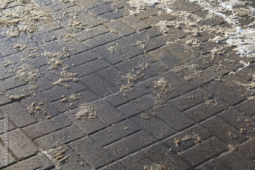 The sidewalk had been cleared of snow, but some slush and water remained
