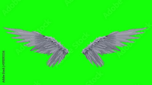 White Angel Wings on Green Screen – 4K Feathered Wings Isolated for Chroma Key