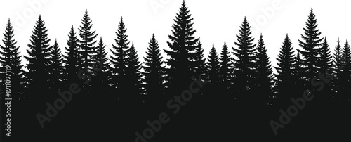 Black pine forest silhouette, coniferous woodland tree line, isolated nature landscape background, evergreen spruce fir timberland panorama for outdoor graphic design.