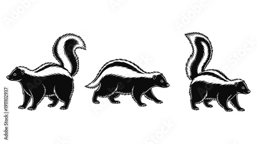 Three Skunks Walking Side View