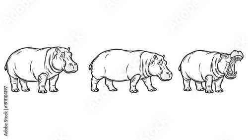 Three Hippo Line Art Poses
