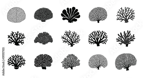Various black and white coral forms displayed in a grid.