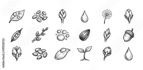 Collection of hand-drawn nature icons featuring seeds, sprouts, flower buds, leaves, and water drops in a detailed black and white botanical sketch or doodle illustration style