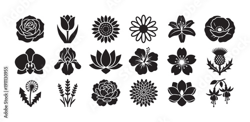 Diverse set of black flower silhouettes and floral icons, including rose, tulip, sunflower, lily, poppy, orchid, and hibiscus, presented in a clean, graphic vector style